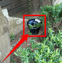 in2care mosquito station placed in the garden near the tree