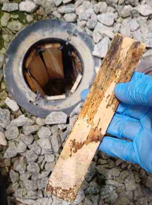 Close-up photograph of a pest control technician wearing a blue nitrile glove holding a rectangular wooden timber slat with visible termite chew marks and mudding. In the background, an open Exterra in-ground termite station with additional timber slats inside sits embedded flush in grey decorative gravel.